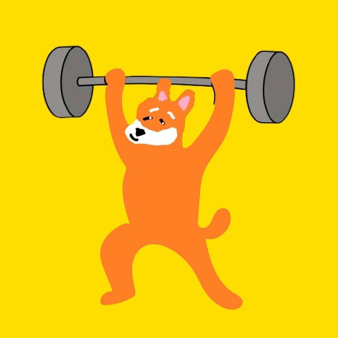 Meme 136 - MEME_136.JPG