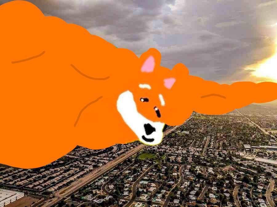 Meme 143 - MEME_143.JPG