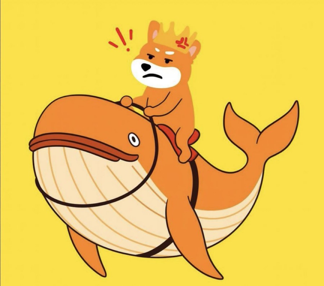 Meme 25 - MEME_25.JPG