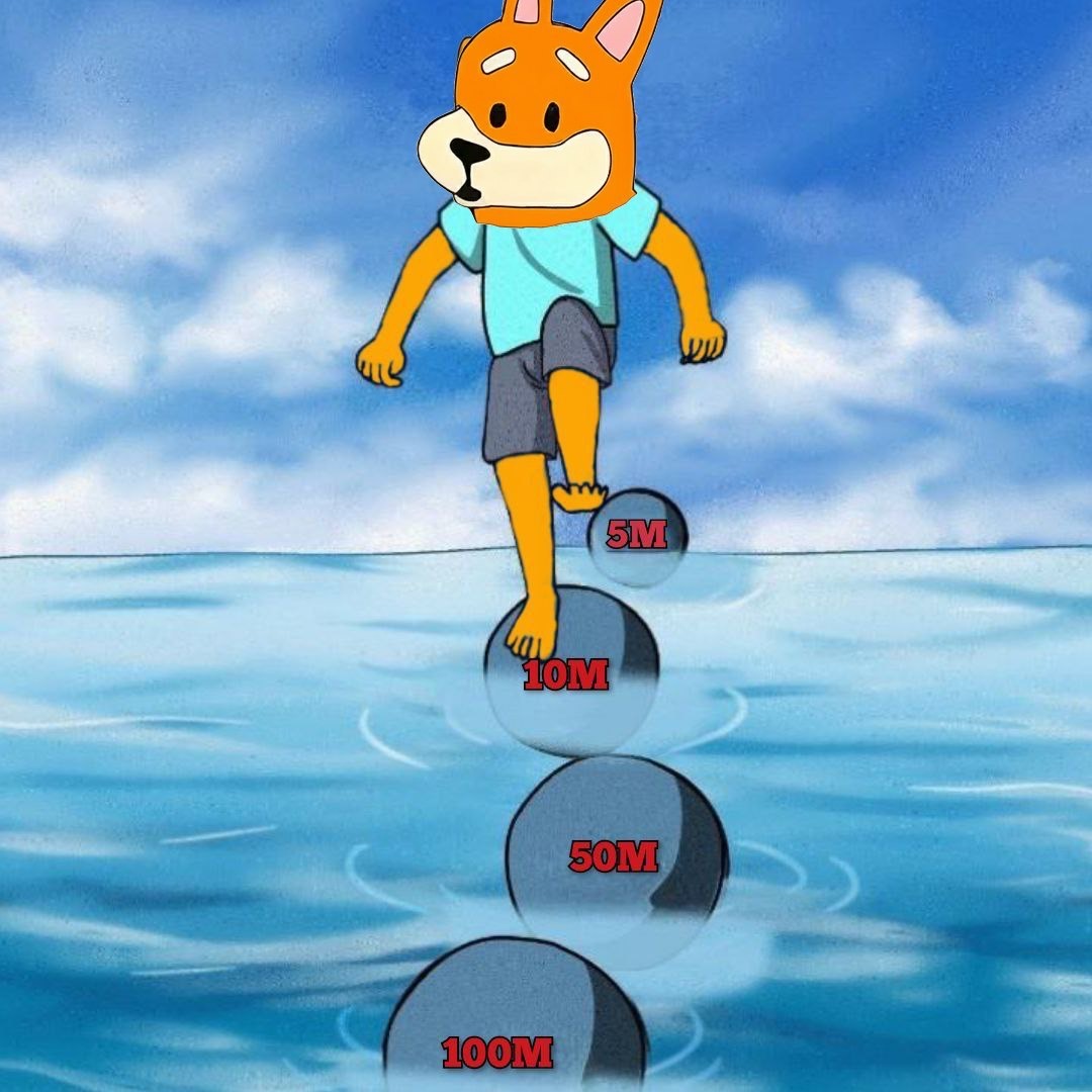 Meme 358 - MEME_358.JPG