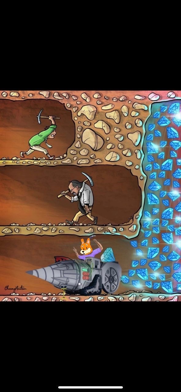 Meme 365 - MEME_365.JPG