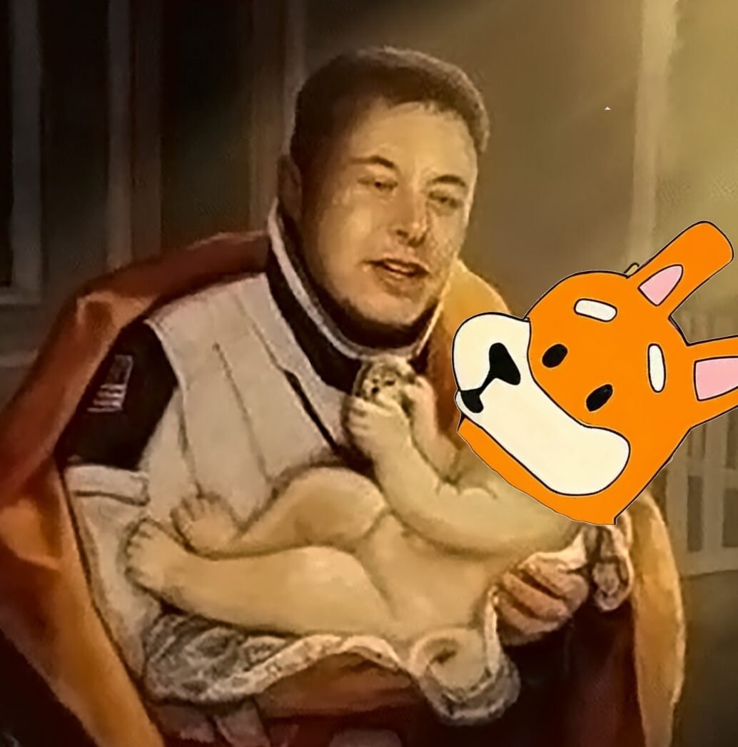 Meme 378 - MEME_378.JPG