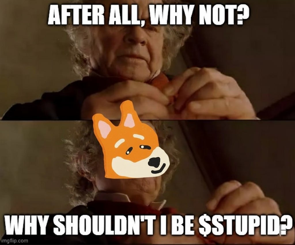 Meme 440 - MEME_440.JPG