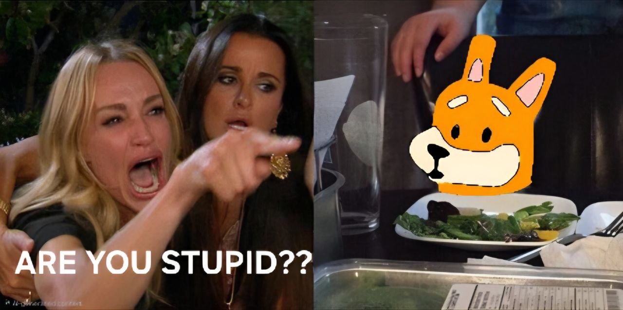 Meme 550 - MEME_550.JPG