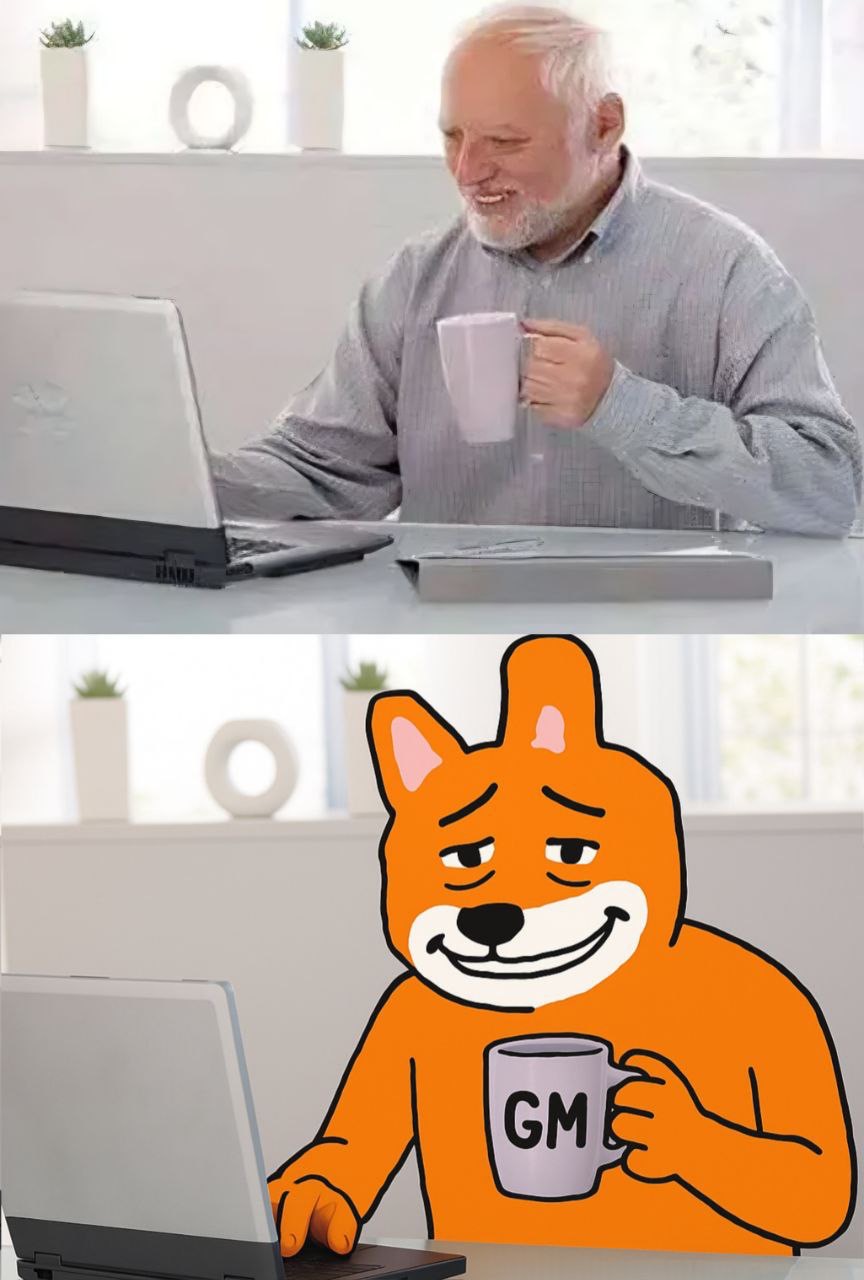 Meme 703 - MEME_703.JPG