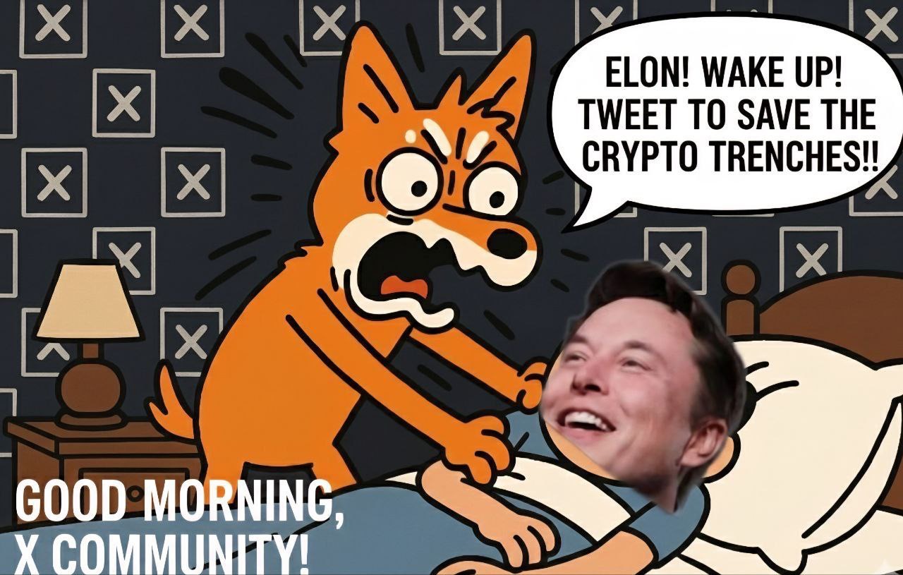 Meme 797 - MEME_797.JPG